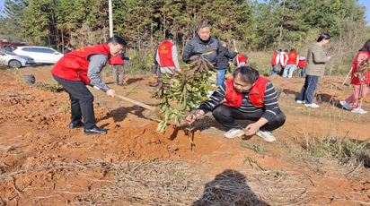 春风催新绿植树正当时——道县白马渡镇开展义务植树活动