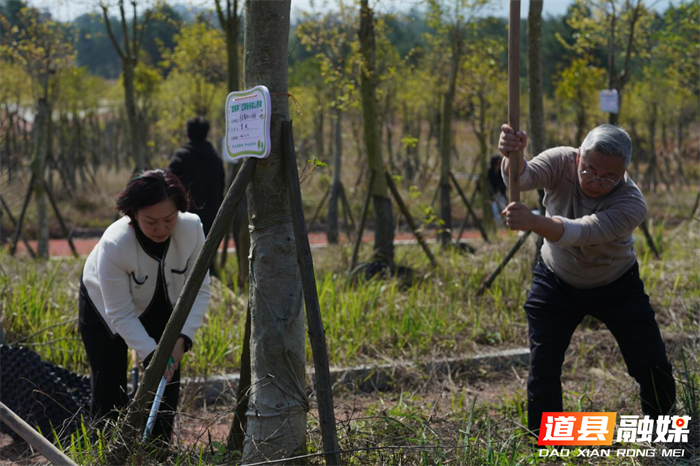0312“春染道州忆忠魂 绿满‘忠诚林’映初心”道县2026年植树节文明实践主题活动举行02_副本.png