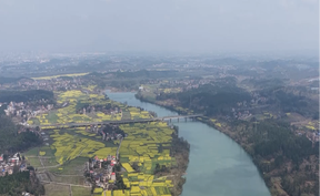 视频 | 道县：油菜花海“丰”景如画  赏花踏青带热乡村春游