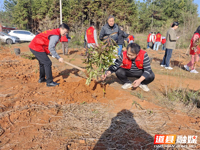 0312春风催新绿 植树正当时——道县白马渡镇开展义务植树活动02_副本.png 0312春风催新绿 植树正当时——道县白马渡镇开展义务植树活动02_副本.png