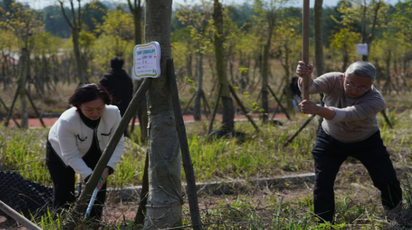 “春染道州忆忠魂 绿满‘忠诚林’映初心”——道县2026年植树节文明实践主题活动举行