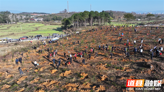 0313道县开展2026年义务植树活动 为生态文旅融合增绿添彩01_副本2.jpg