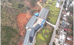 视频 | 道县：育秧工厂“马力全开” 社会化服务助力春耕