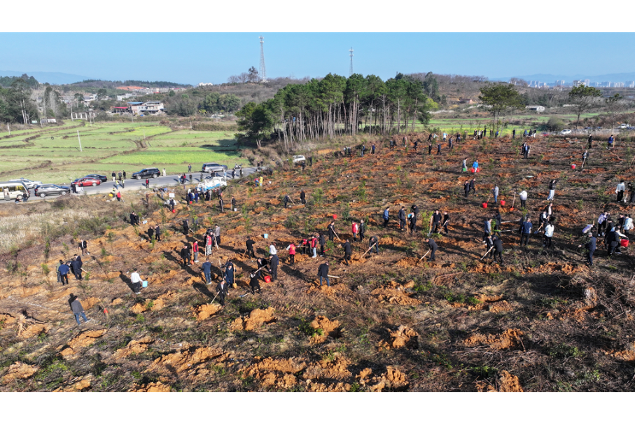道县开展2026年义务植树活动  为生态文旅融合增绿添彩