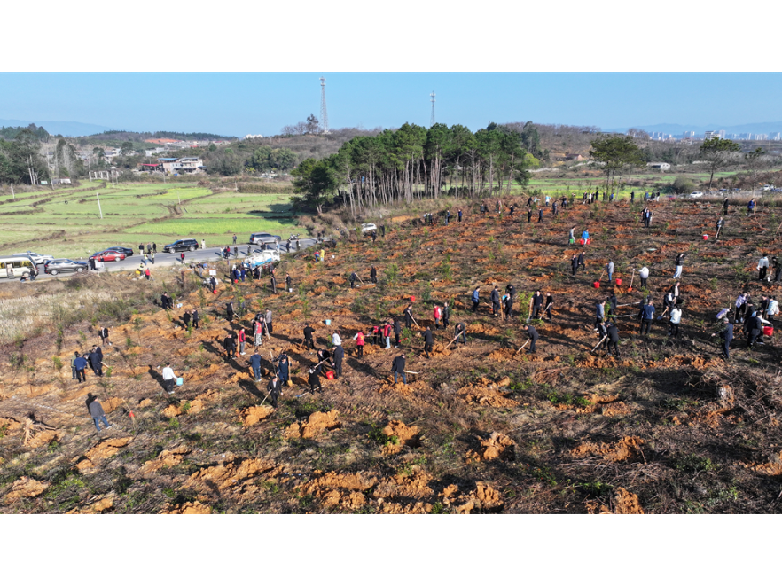 道县开展2026年义务植树活动  为生态文旅融合增绿添彩