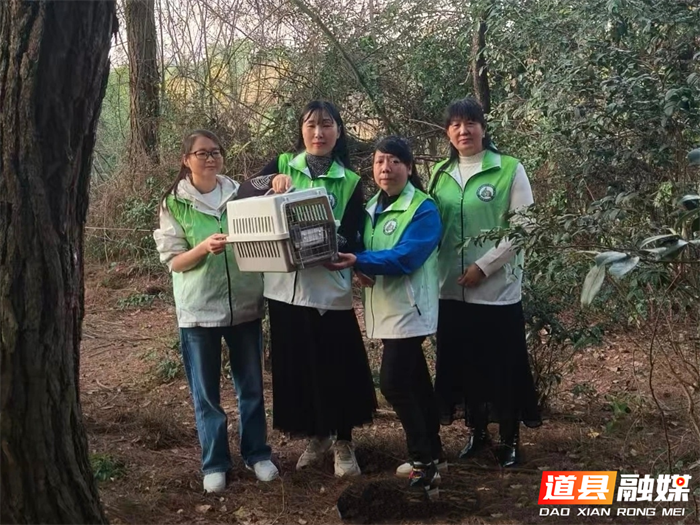 0316道县志愿者四个月悉心救护 “萌禽”猴面鹰重归山林04_副本.png 0316道县志愿者四个月悉心救护 “萌禽”猴面鹰重归山林04_副本.png
