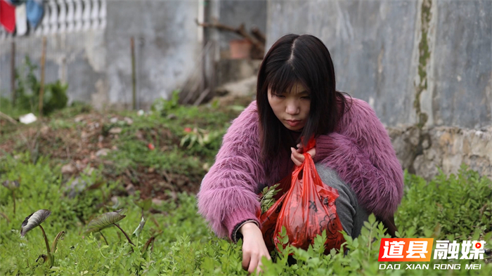 0318道县：春风吹绿山头鲜 田间地头“野”美味 (2)_副本.jpg