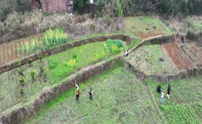 视频 | 道县：春风吹绿山头鲜   田间地头“野”美味