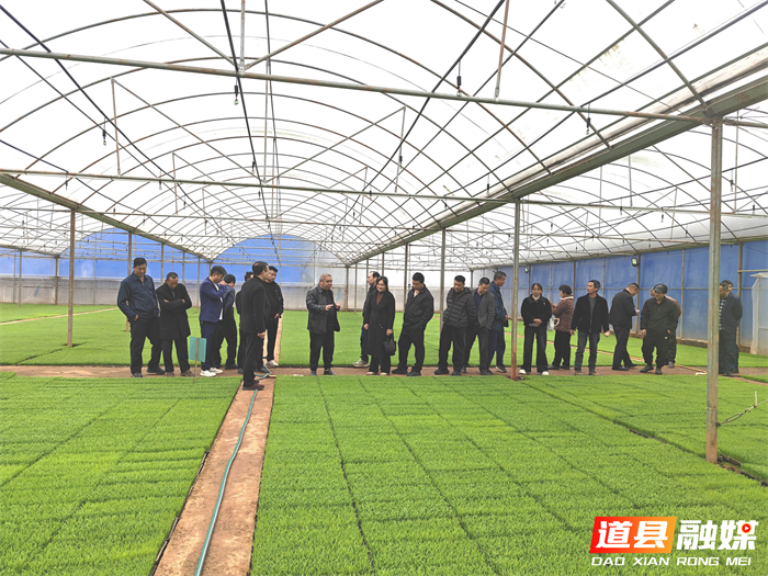 0319道县乐福堂镇：观摩“取经”拓视野 春耕备耕掀热潮01_副本.jpg
