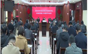 视频 | 道县2025年度县直机关党组织书记抓基层党建工作述职平移会召开