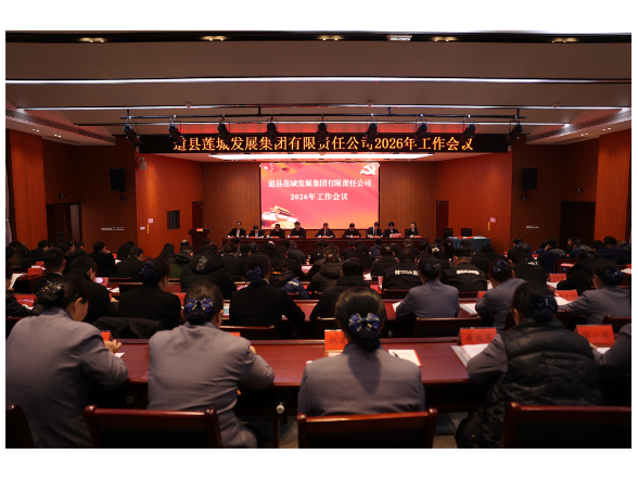 凝心聚力启新程  奋楫笃行谱华章  道县莲城集团召开2026年度工作会议
