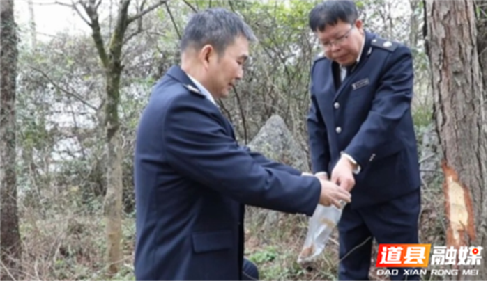 0320道县：履好生防职责 护好森林安全01_副本1.png