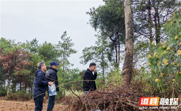 0320道县：履好生防职责 护好森林安全02_副本1.png