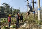 国网道县供电公司：“把脉问诊”保供电 精准服务助春耕