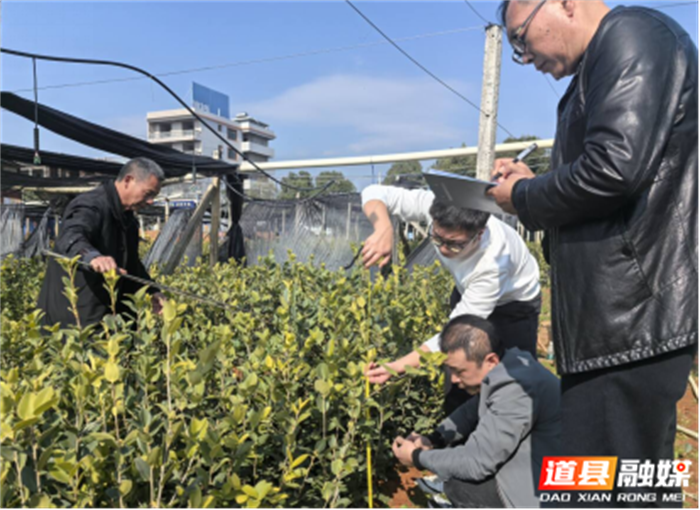 0330道县：加强林业技术服务 助力苗木质量提高01_副本.png