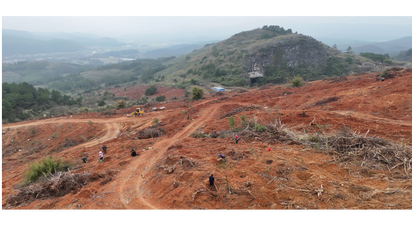 道县：春雨唤新绿 油茶栽种忙