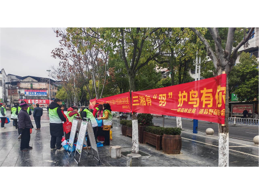 道县全力保护候鸟迁飞安全