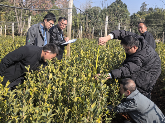 道县“一长四员”共促林业高质量发展