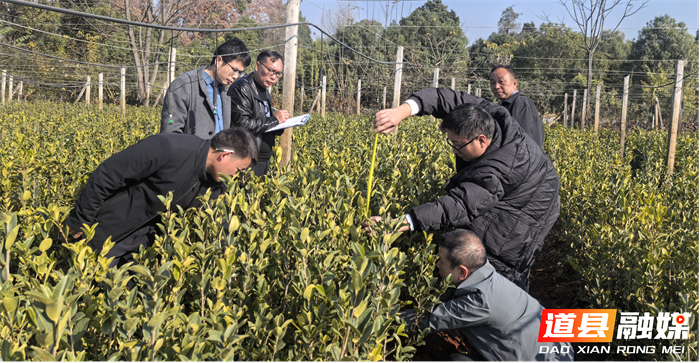 0305道县“一长四员”共促林业高质量发展01_副本.png