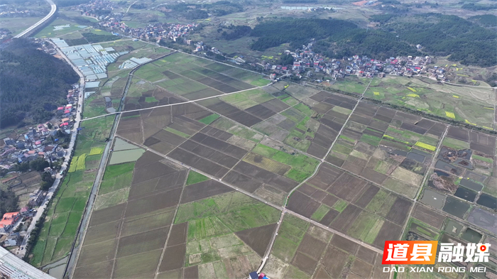 0306道县：抢抓春耕好时节 烤烟移栽按下“加速键”01_副本.jpg