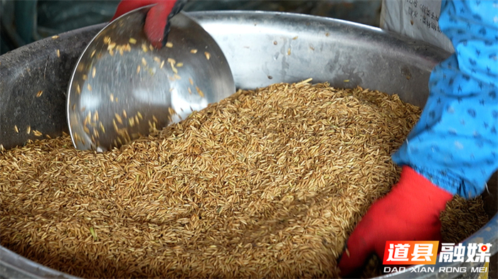 0309道县：育秧工厂“马力全开” 社会化服务助力春耕05_副本.jpg