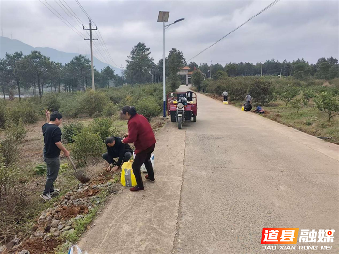 0309党建引领添新绿 雷锋精神映初心——道县四马桥镇开展义务植树活动02_副本.png