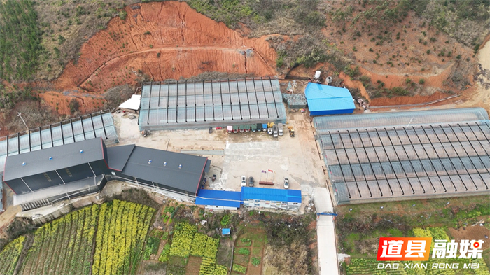 0309道县：育秧工厂“马力全开” 社会化服务助力春耕03_副本.jpg