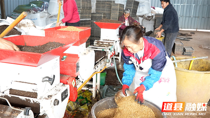 0309道县：育秧工厂“马力全开” 社会化服务助力春耕01_副本.jpg