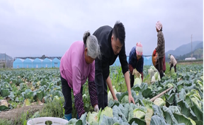 视频 | 道县：守红色初心  种出乡村振兴好光景