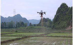 视频 | 道县：“以虫治虫”+“以废治害”双管齐下  绿色防控守护稻田安全