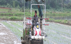 视频 | 道县：抢抓农时忙春耕  科技赋能提效护生态