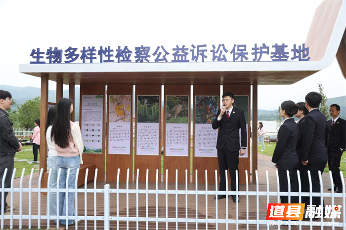 0513青春检影护绿意——道县检察院开展五四青年节系列活动02_副本.png