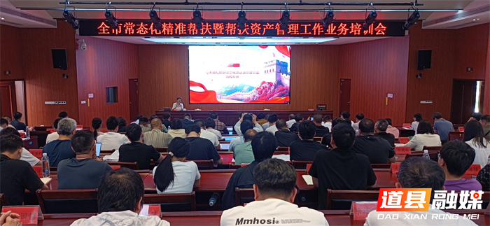 0514永州市常态化精准帮扶暨帮扶资产管理业务培训会在道县举行 (2)_副本.jpg