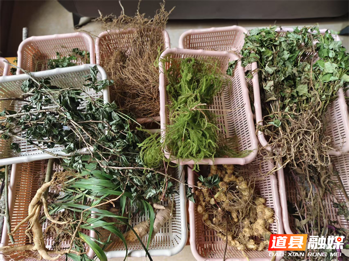 0601【科技宣传周】道县中医医院:非遗传承 “道州风药”科普微课堂走进大自然12_副本.png 0601【科技宣传周】道县中医医院:非遗传承 “道州风药”科普微课堂走进大自然12_副本.png