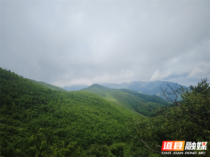 0601【科技宣传周】道县中医医院:非遗传承 “道州风药”科普微课堂走进大自然01_副本.png 0601【科技宣传周】道县中医医院:非遗传承 “道州风药”科普微课堂走进大自然01_副本.png