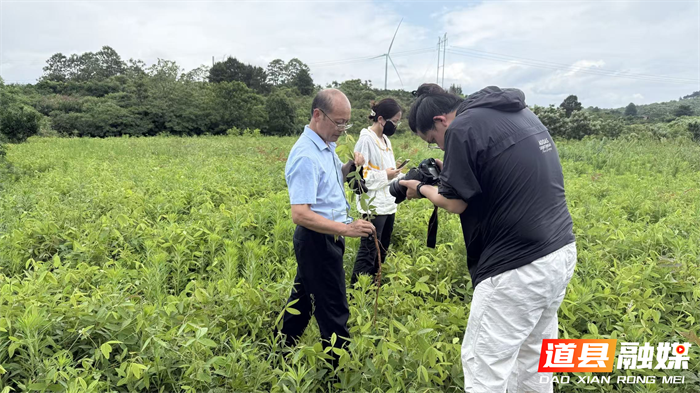 0601【科技宣传周】道县中医医院:非遗传承 “道州风药”科普微课堂走进大自然03_副本.png 0601【科技宣传周】道县中医医院:非遗传承 “道州风药”科普微课堂走进大自然03_副本.png