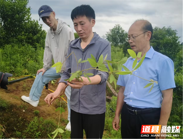 0601【科技宣传周】道县中医医院:非遗传承 “道州风药”科普微课堂走进大自然04_副本.png 0601【科技宣传周】道县中医医院:非遗传承 “道州风药”科普微课堂走进大自然04_副本.png