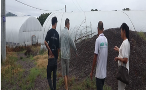 视频 | 道县：蘑菇基地管护忙 精心呵护待丰收