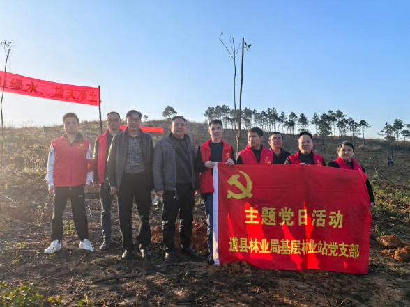 道县多举措加快党建与生态双促双融
