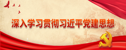 专题 | 深入学习贯彻习近平党建思想