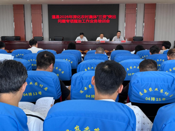 道县召开农村集体“三资”突出问题专项整治工作业务培训会