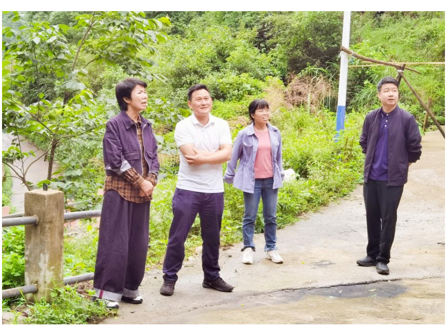 道县持续开展涉林安全生产隐患排查整治
