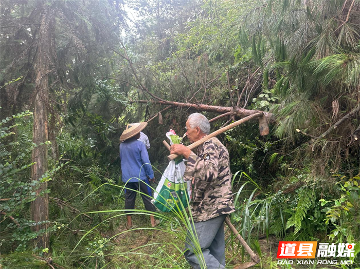0720道县:山间清泉润民心 基层实干解民忧02_副本.png 0720道县:山间清泉润民心 基层实干解民忧02_副本.png