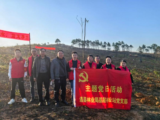 道县林业局：党建引领生态高质量发展