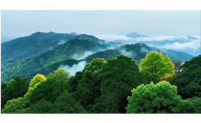 道县科普探险之旅