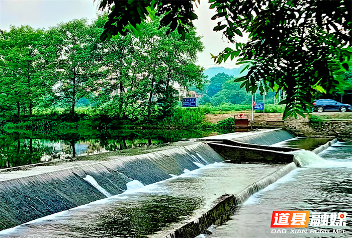 道县濂溪河营江段（图 4）