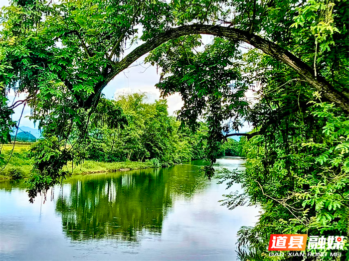 道县濂溪河营江段（图 5）