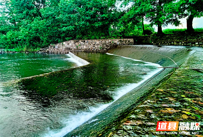 道县濂溪河营江段（图 3）