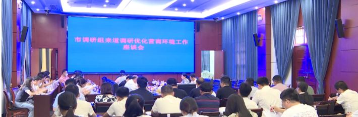 视频｜市优化营商环境调研组来道调研