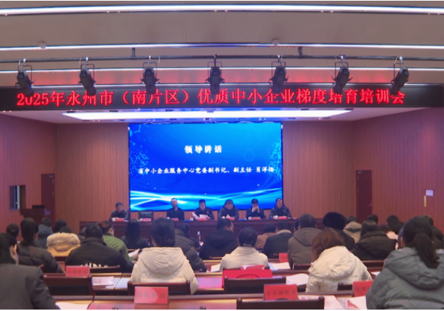 视频|永州市（南片区）2025年优质中小企业梯度培育培训会在道县召开